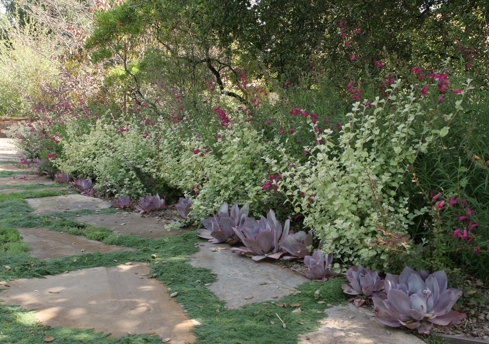 Napa Valley in Pasadena by Sacred Space Garden Design Inc - Photo 11