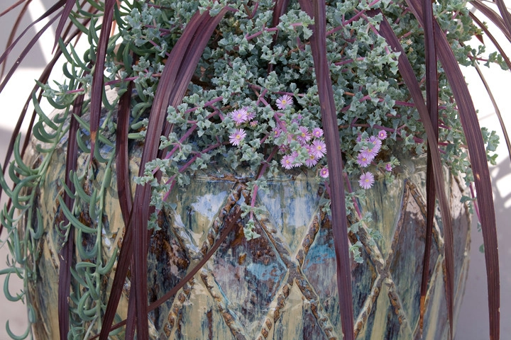 Arcadia Mid Century Modern by Sacred Space Garden Design Inc - Photo 8
