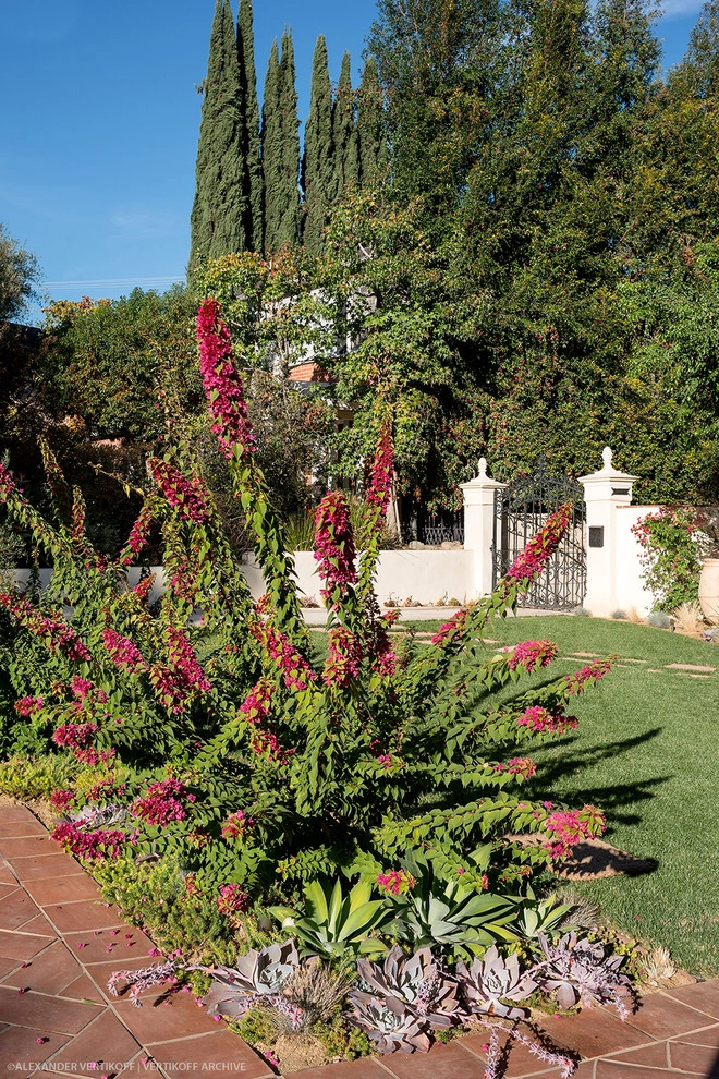 Historic Glendale Spanish Revival by Sacred Space Garden Design Inc - Photo 3