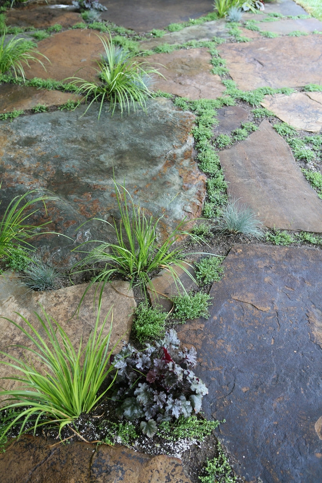Napa Valley in Pasadena by Sacred Space Garden Design Inc - Photo 7
