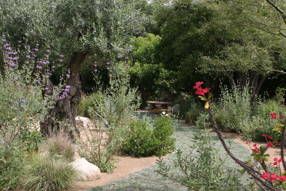 La Canada Spanish Revival by Sacred Space Garden Design Inc - Photo 3