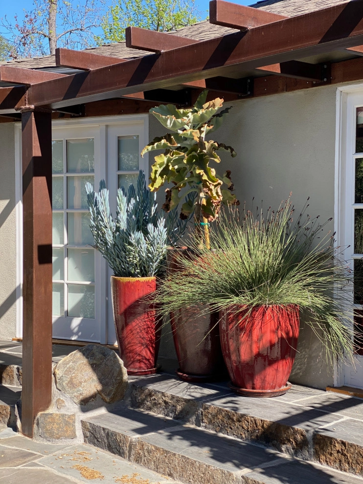 Pasadena Contemporary Rancher by Sacred Space Garden Design Inc - Photo 6