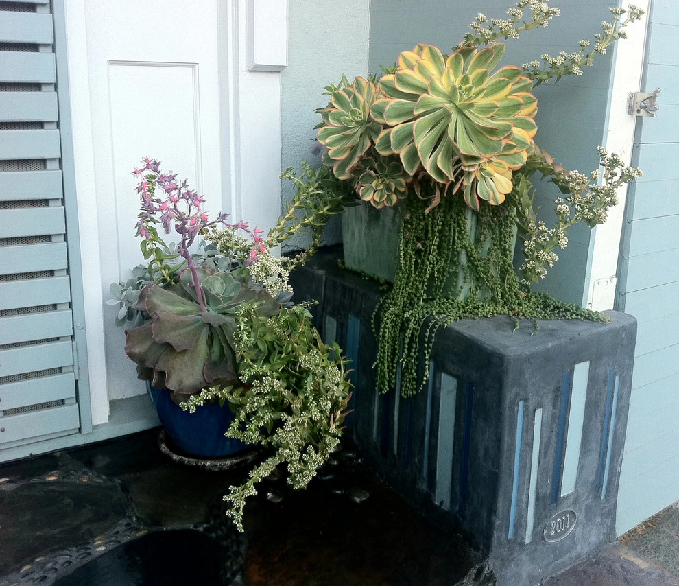 Marina Del Rey Jewelbox by Sacred Space Garden Design Inc - Photo 2