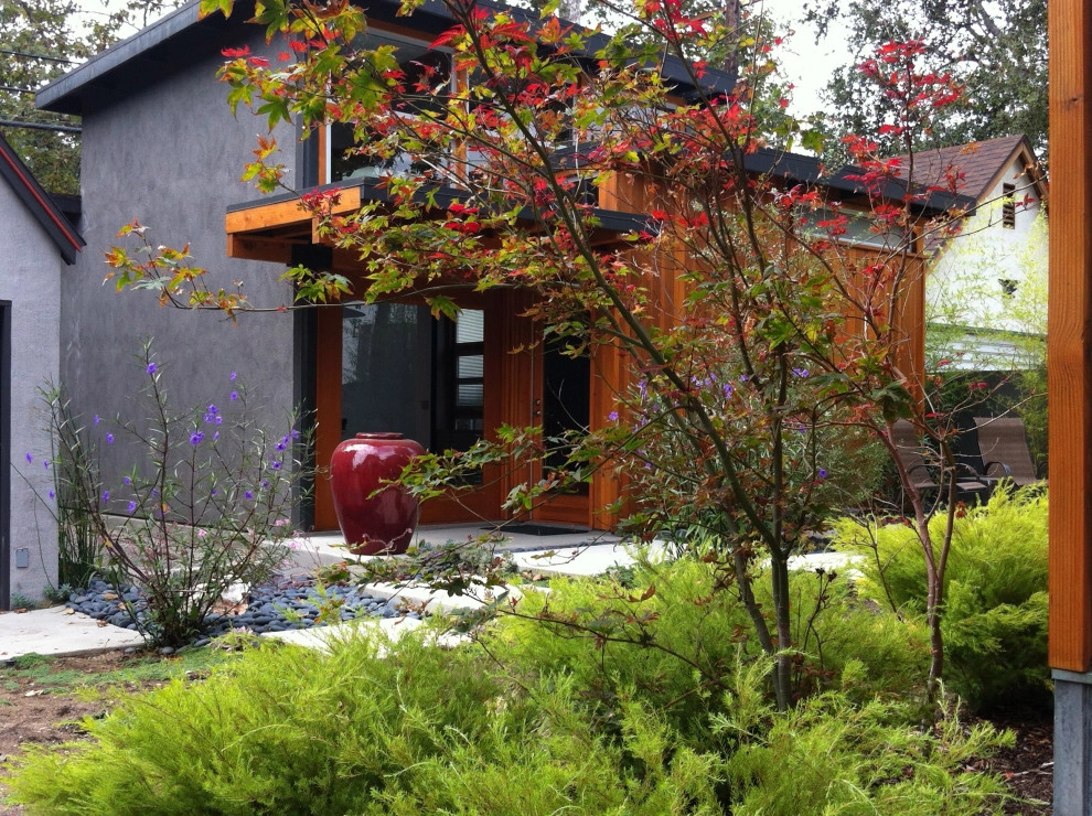 Japanese Modern Farmhouse Pasadena by Sacred Space Garden Design Inc - Photo 6