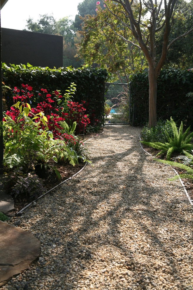 Napa Valley in Pasadena by Sacred Space Garden Design Inc - Photo 6
