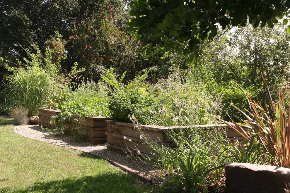 Napa Valley in Pasadena by Sacred Space Garden Design Inc - Photo 5