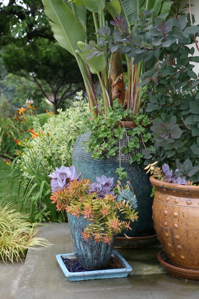 Arcadia Mid Century Modern by Sacred Space Garden Design Inc - Photo 10
