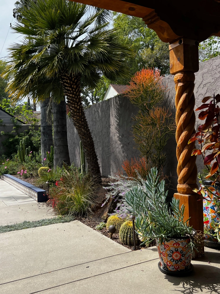 Mexican style in Pasadena by Sacred Space Garden Design Inc - Photo 6