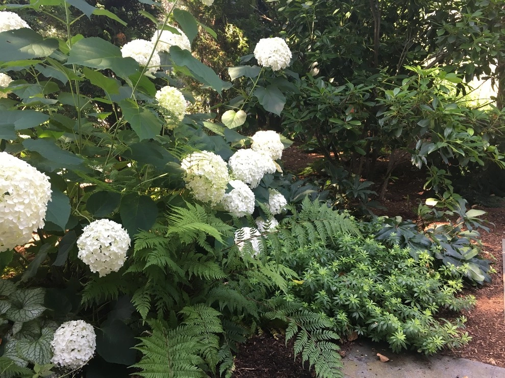 Small Projects / Details by Sallie Hill Design, Landscape Architect - Photo 5