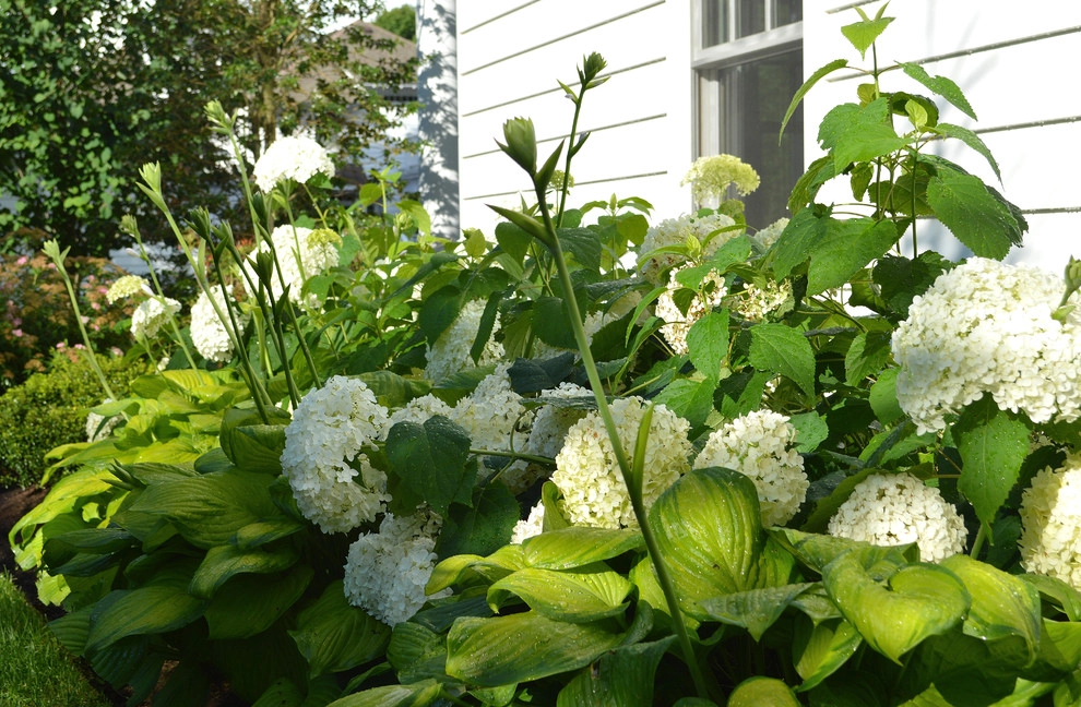 Small Projects / Details by Sallie Hill Design, Landscape Architect - Photo 29