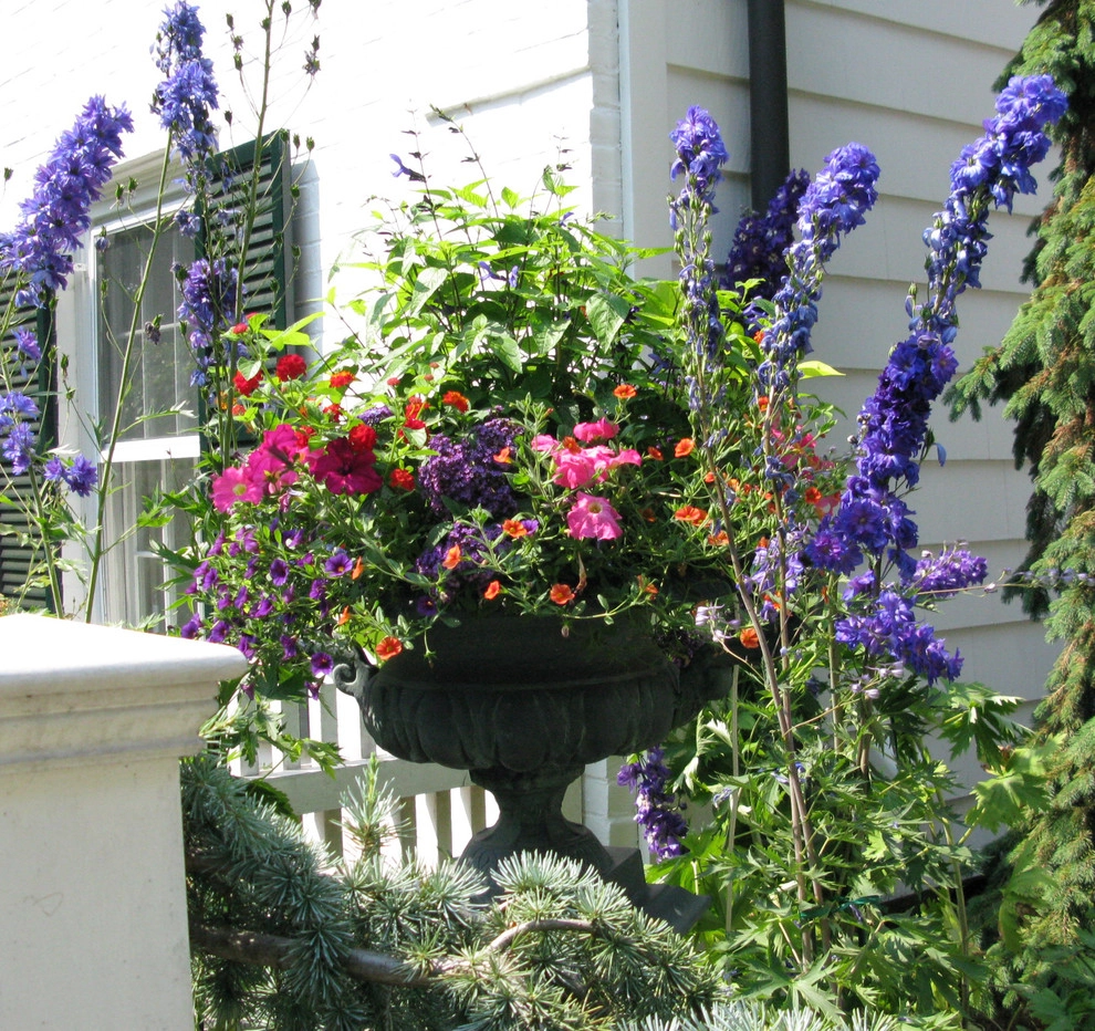 Planter & Container Garden Design - Fairfield County, CT by Austin Ganim Landscape Design, LLC - Photo 38