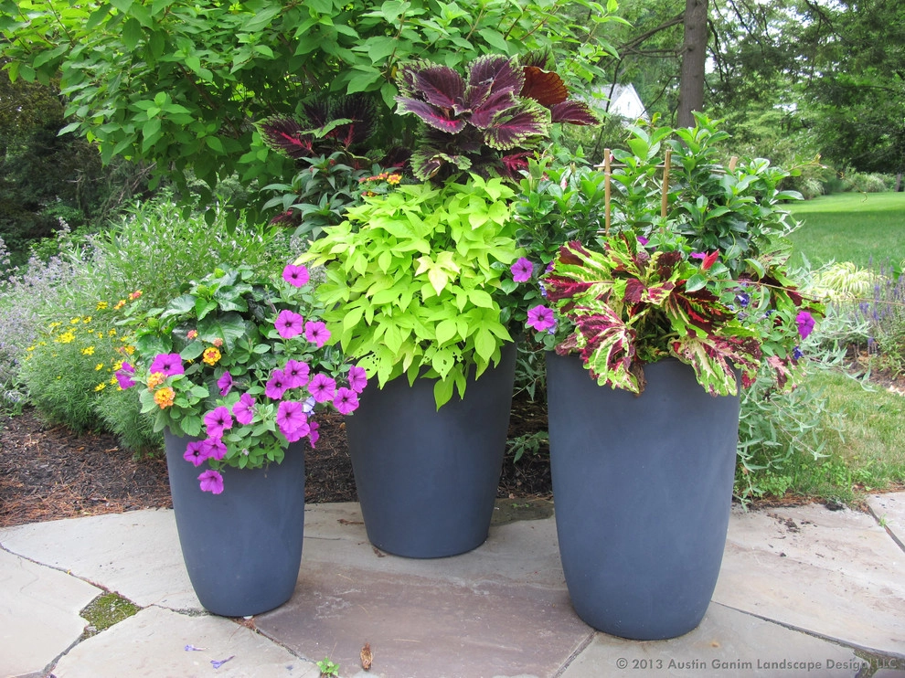Planter & Container Garden Design - Fairfield County, CT by Austin Ganim Landscape Design, LLC - Photo 28