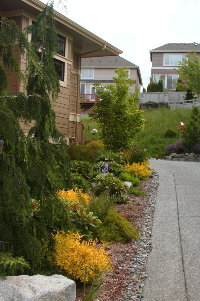 Issaquah Highlands - Rootwad by Sam Millar - Photo 17