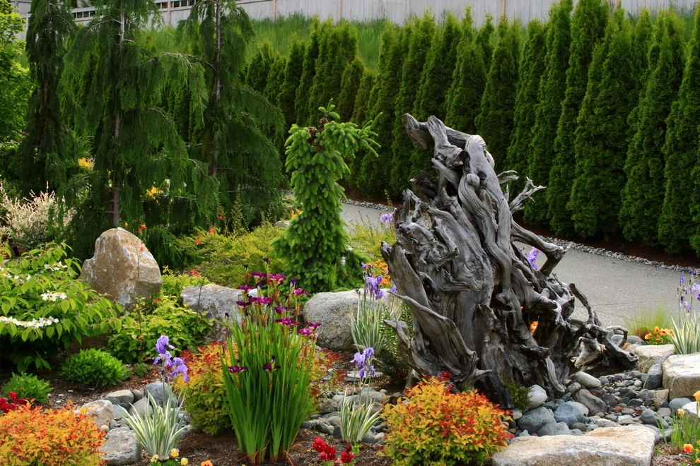 Issaquah Highlands - Rootwad by Sam Millar - Photo 6