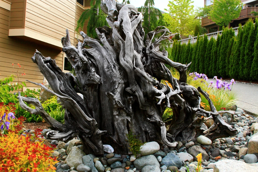 Issaquah Highlands - Rootwad by Sam Millar - Photo 16