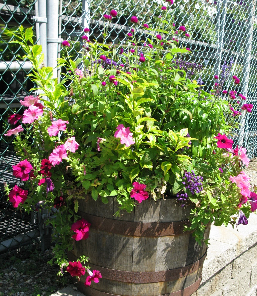 Planter & Container Garden Design - Fairfield County, CT by Austin Ganim Landscape Design, LLC - Photo 32