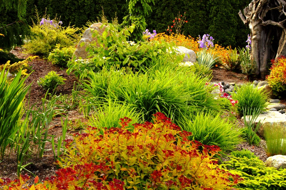Issaquah Highlands - Rootwad by Sam Millar - Photo 32