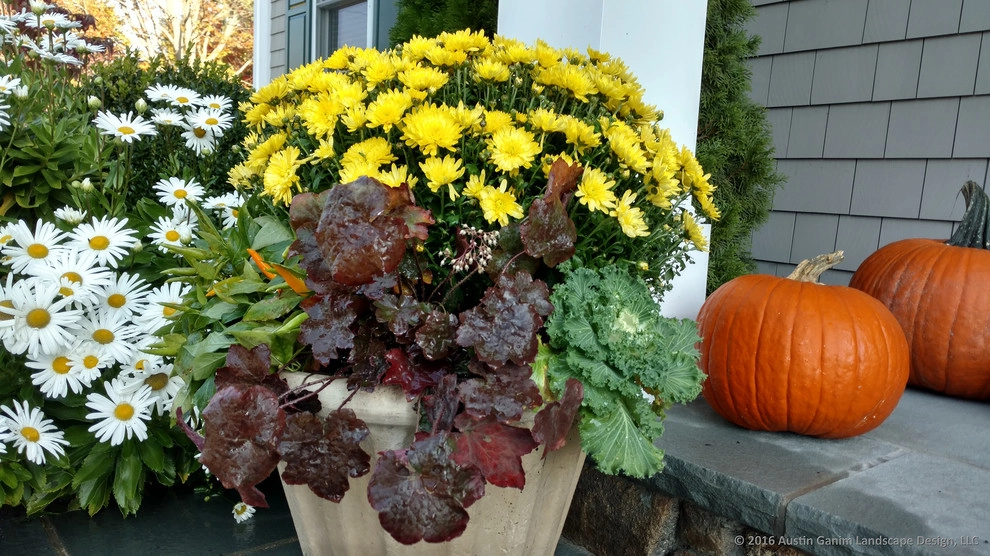 Planter & Container Garden Design - Fairfield County, CT by Austin Ganim Landscape Design, LLC - Photo 33