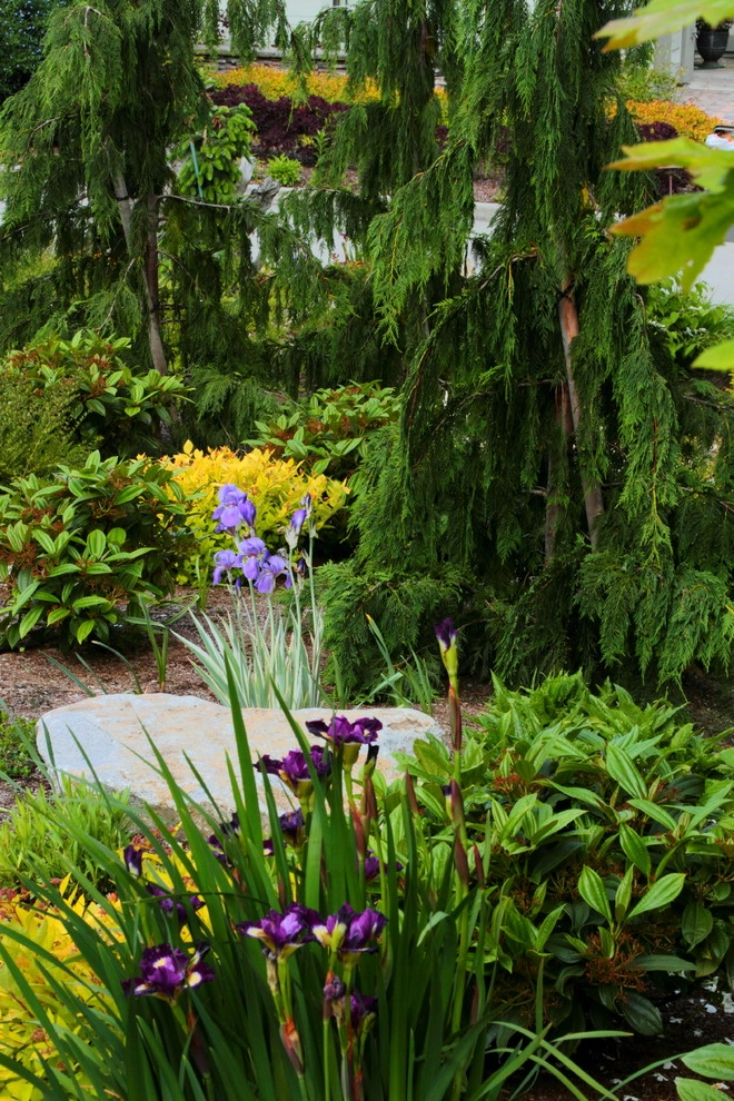 Issaquah Highlands - Rootwad by Sam Millar - Photo 35