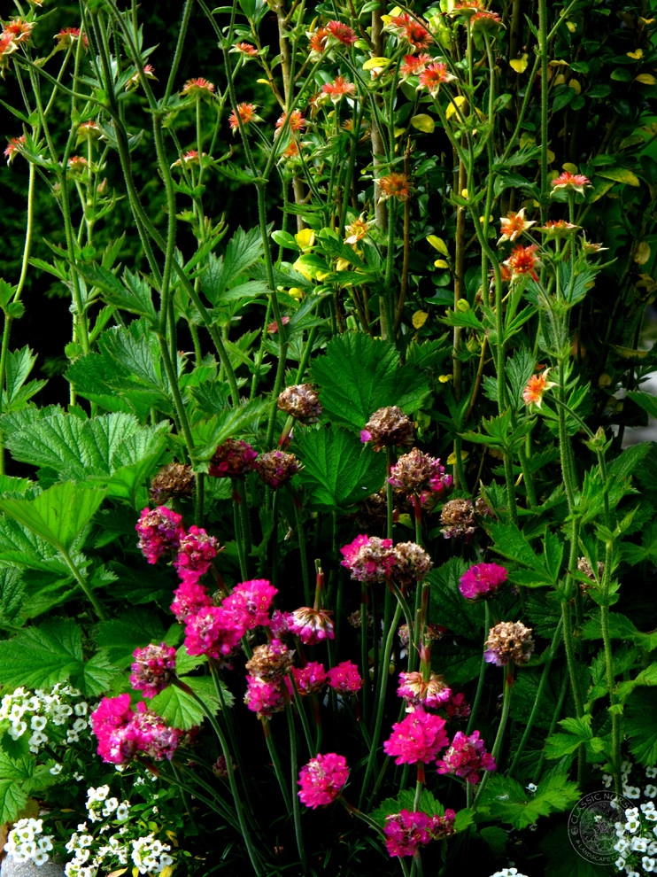 Issaquah Highlands Container Design by Sam Millar - Photo 6