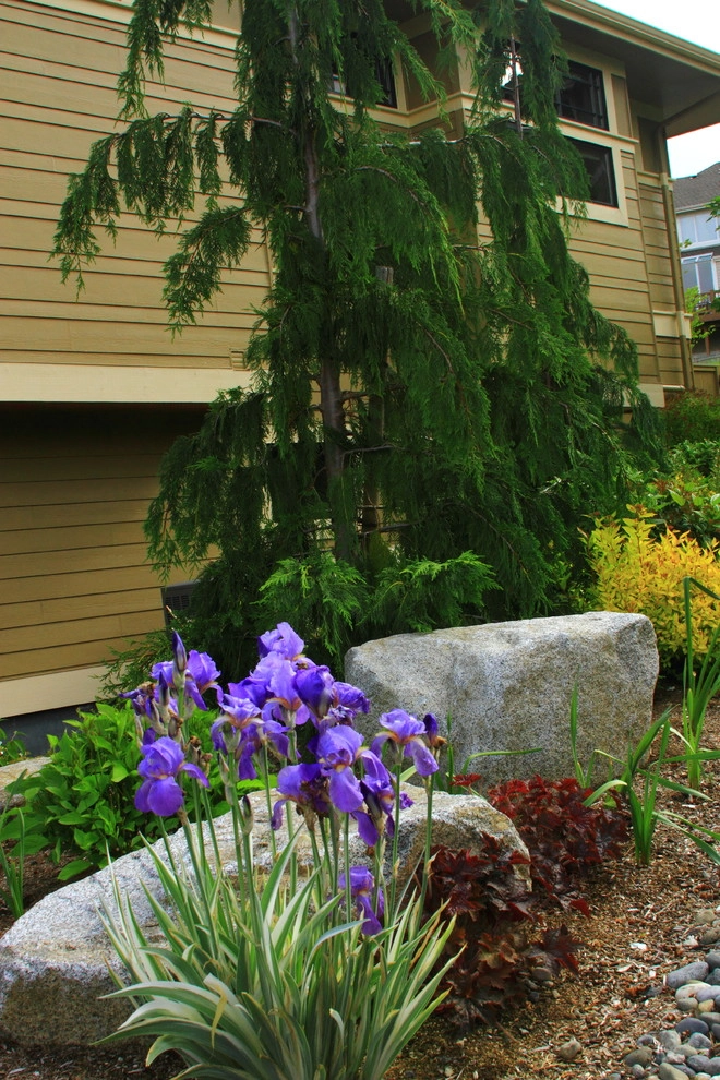 Issaquah Highlands - Rootwad by Sam Millar - Photo 12