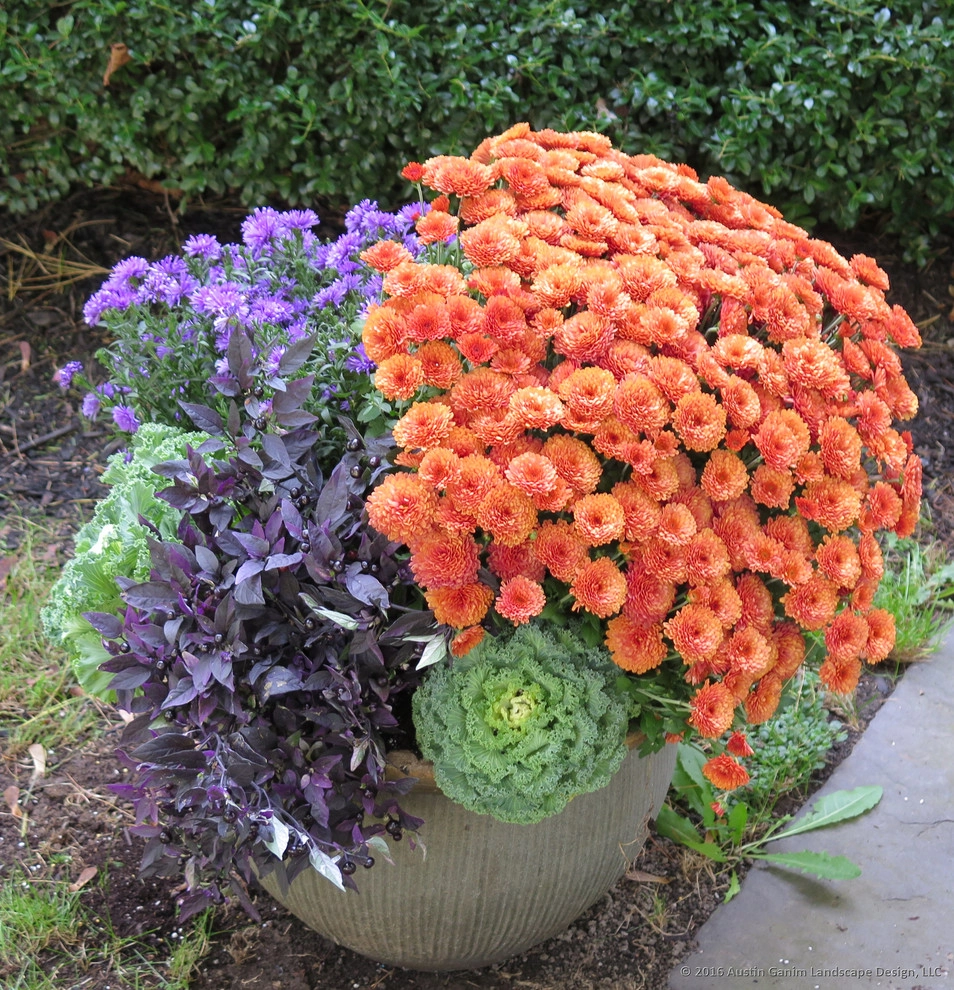 Planter & Container Garden Design - Fairfield County, CT by Austin Ganim Landscape Design, LLC - Photo 11