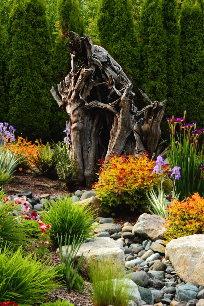 Issaquah Highlands - Rootwad by Sam Millar - Photo 26