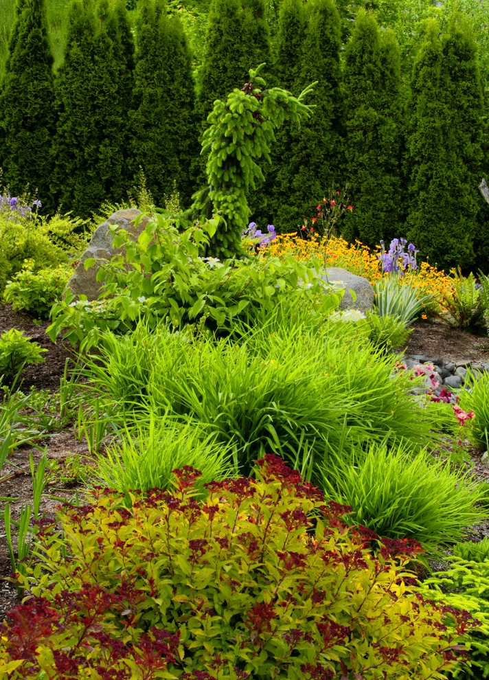 Issaquah Highlands - Rootwad by Sam Millar - Photo 9
