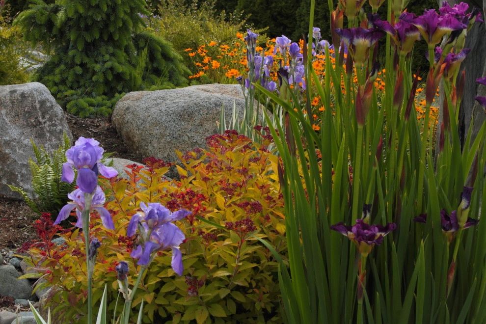 Issaquah Highlands - Rootwad by Sam Millar - Photo 8