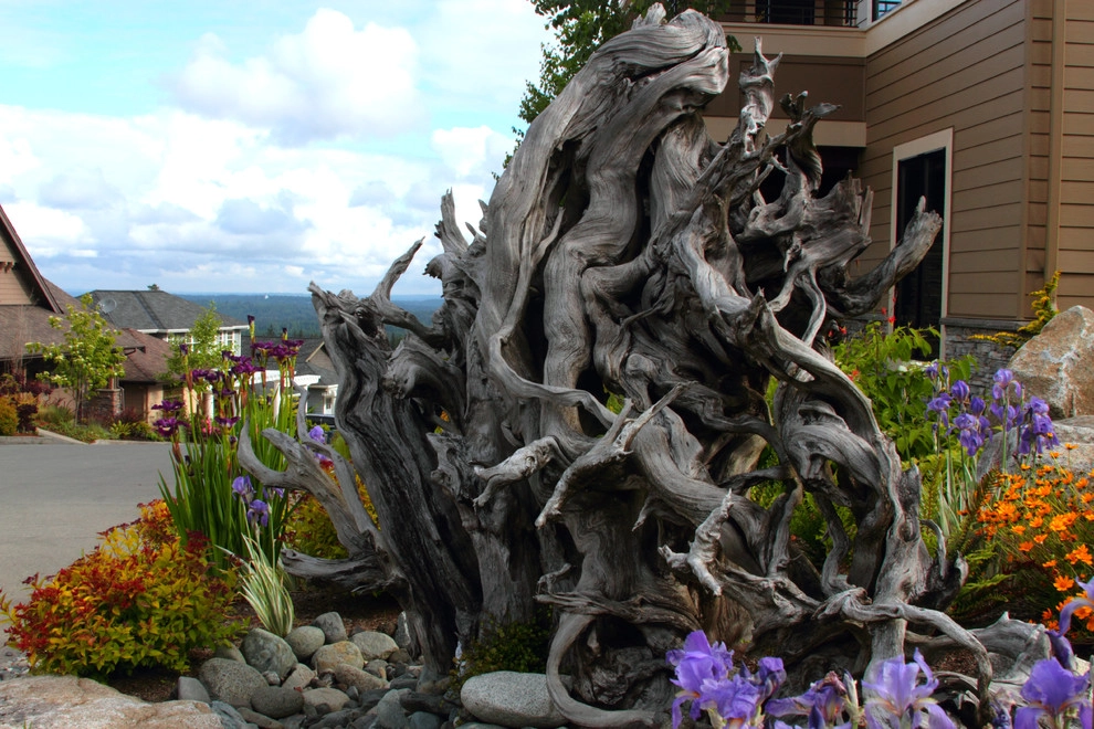 Issaquah Highlands - Rootwad by Sam Millar - Photo 7