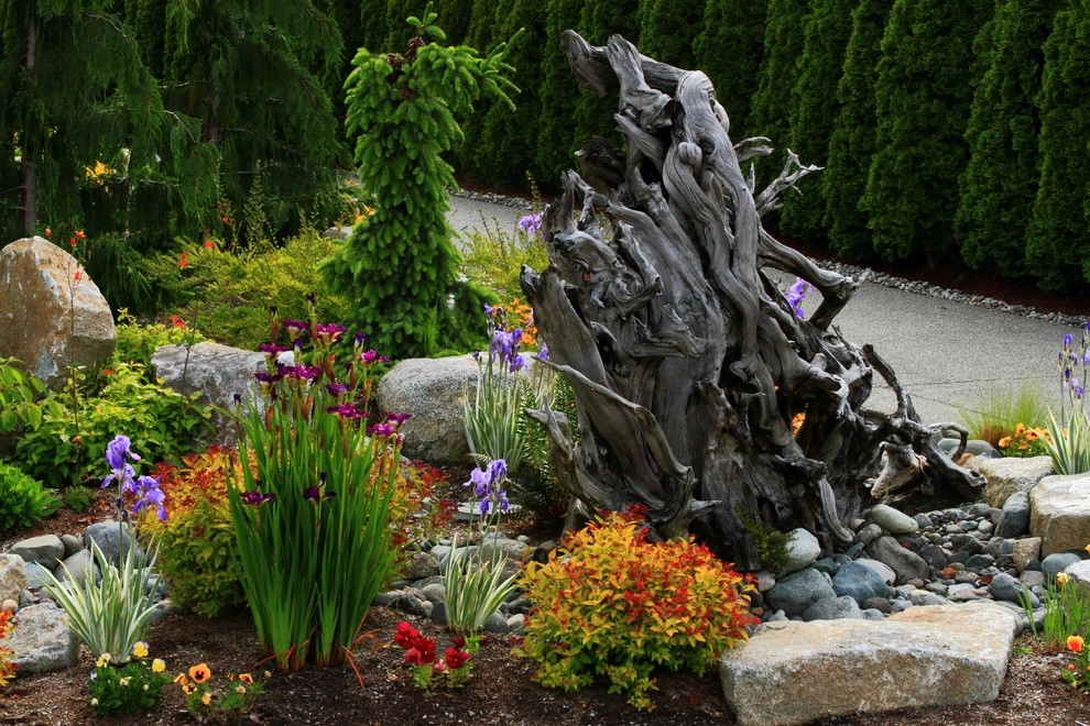 Issaquah Highlands - Rootwad by Sam Millar - Photo 28
