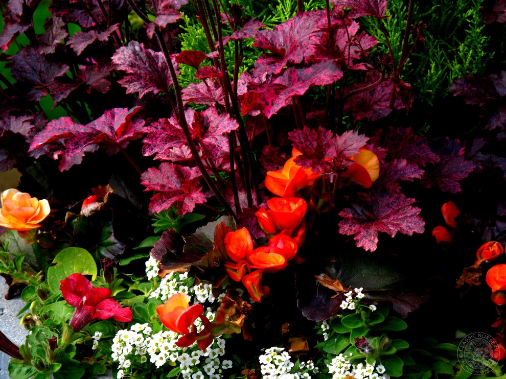 Issaquah Highlands Container Design by Sam Millar - Photo 3