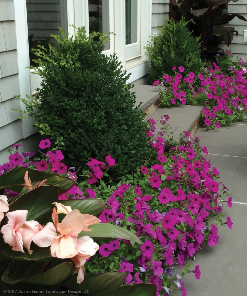 Cottage Garden - Southport, CT by Austin Ganim Landscape Design, LLC - Photo 10