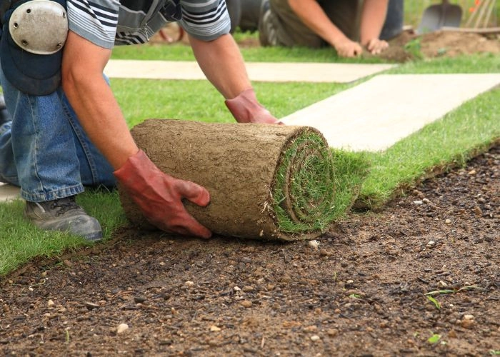 Sarasota Landscaping & Design by Sarasota Landscaping & Design - Photo 31