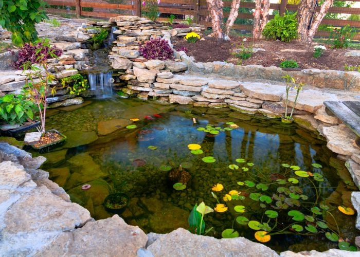 Sarasota Landscaping & Design by Sarasota Landscaping & Design - Photo 30