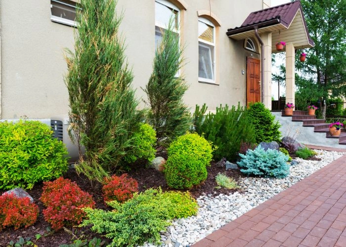 Sarasota Landscaping & Design by Sarasota Landscaping & Design - Photo 15