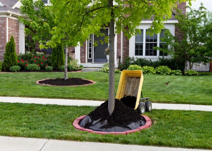 Sarasota Landscaping & Design - Photo 9