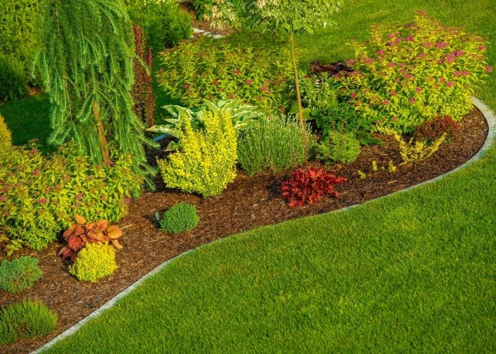 Sarasota Landscaping & Design - Photo 7