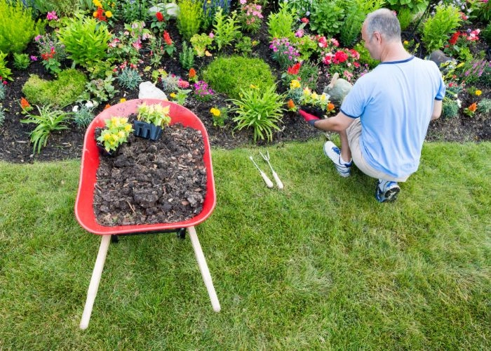 Sarasota Landscaping & Design - Photo 11