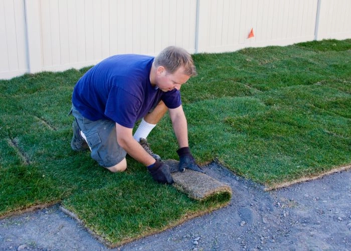Sarasota Landscaping & Design by Sarasota Landscaping & Design - Photo 32