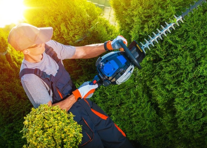 Sarasota Landscaping & Design - Photo 3