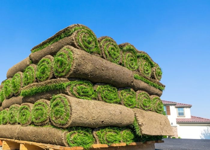 Sarasota Landscaping & Design - Photo 6