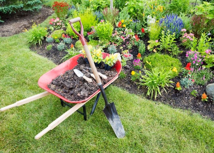 Sarasota Landscaping & Design - Photo 14