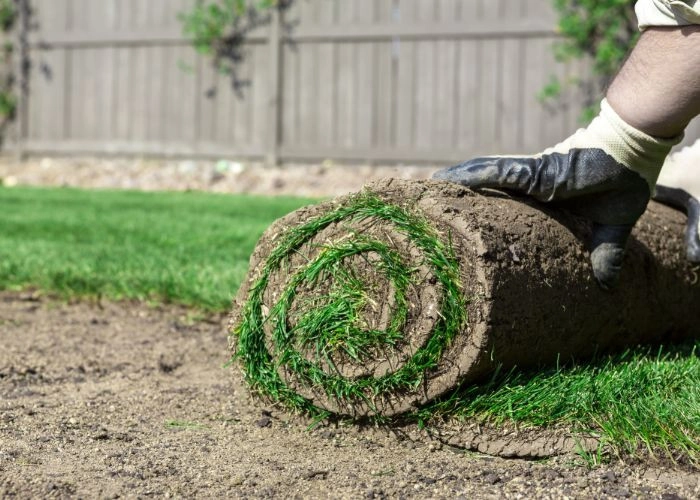 Sarasota Landscaping & Design - Photo 12