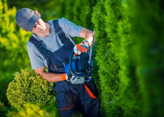 Sarasota Landscaping & Design by Sarasota Landscaping & Design - Photo 8