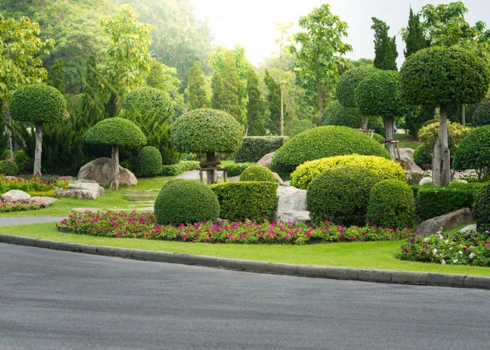Sarasota Landscaping & Design - Photo 2
