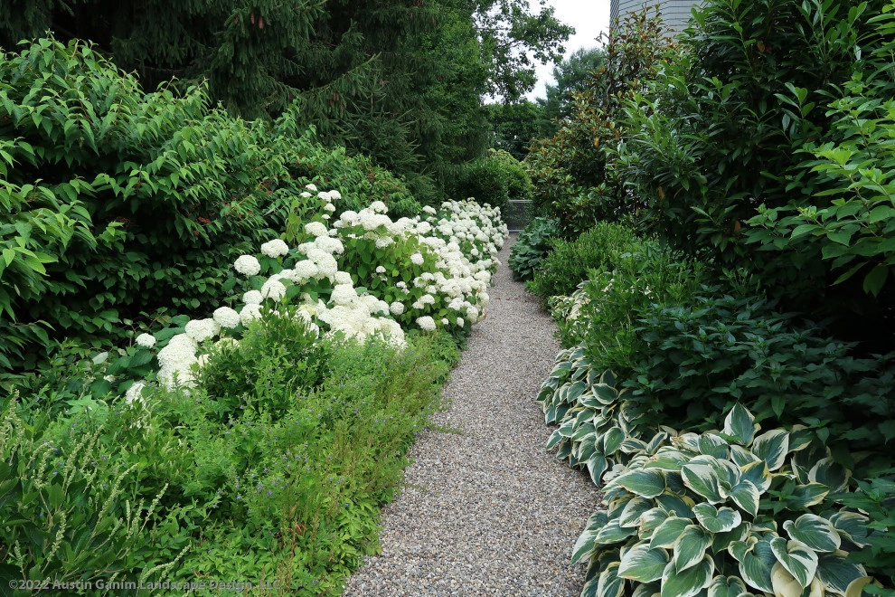 Hillside Pollinator Garden by Austin Ganim Landscape Design, LLC - Photo 3