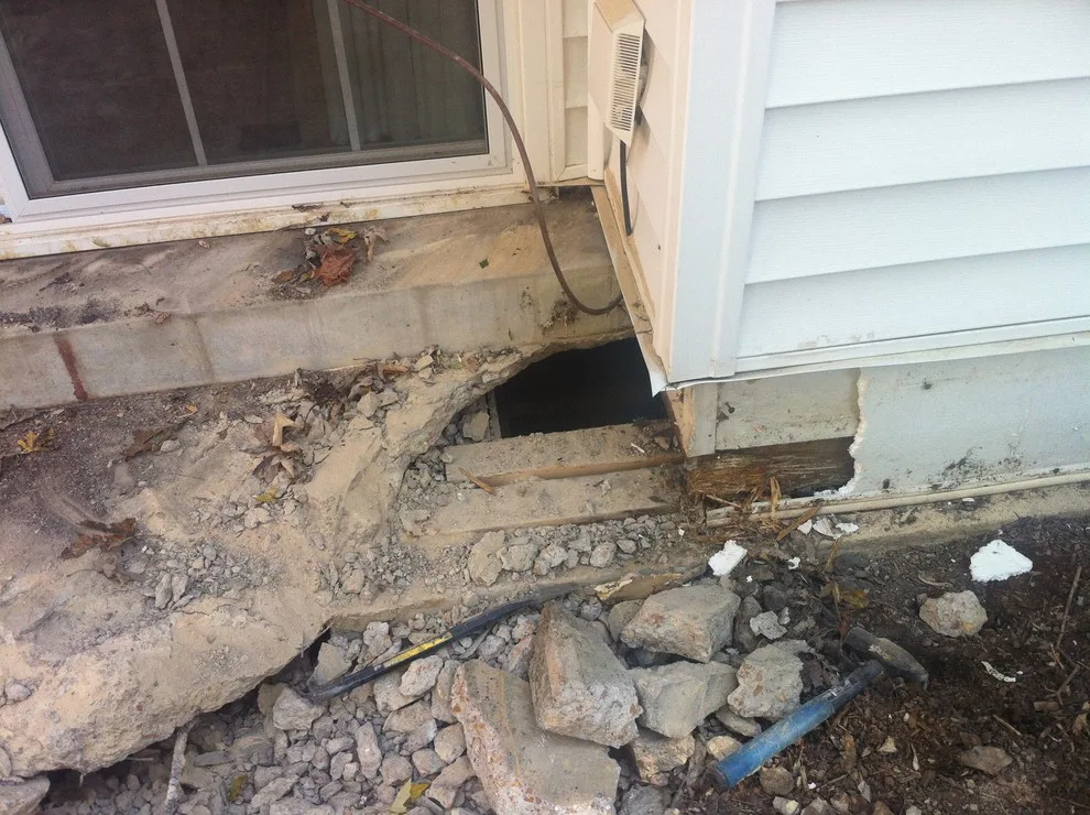 Deck Project in Ballwin, MO by Onesta Construction - Photo 10