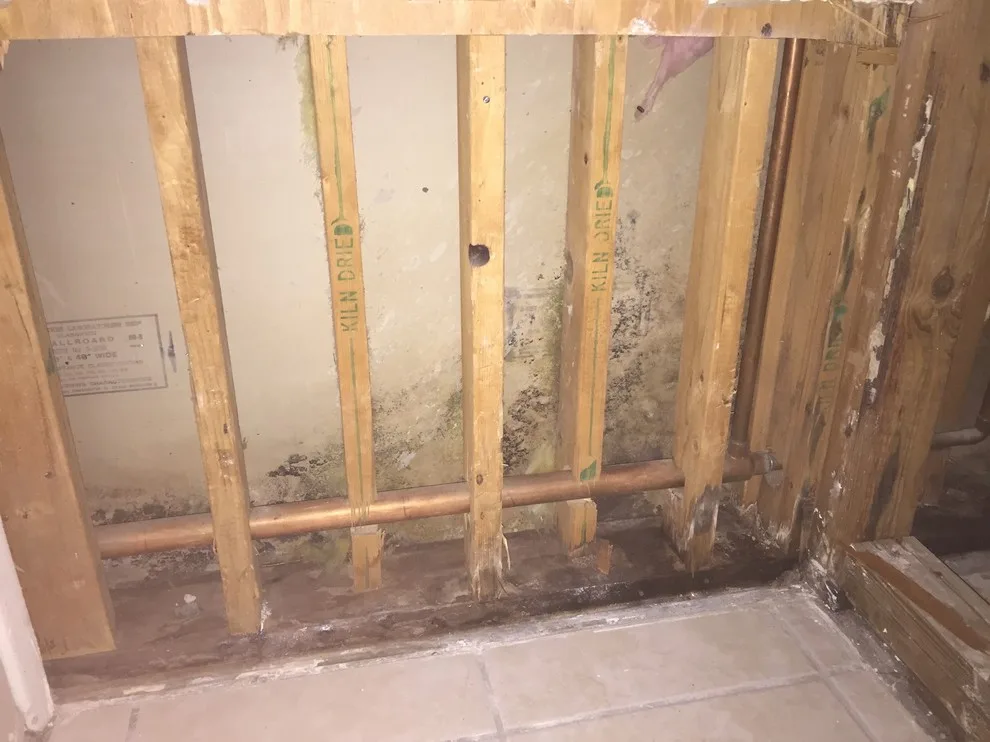 Restroom Renovation and Repair by AFR Construction - Photo 6