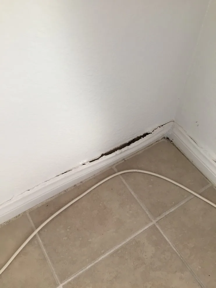 Restroom Renovation and Repair by AFR Construction - Photo 5